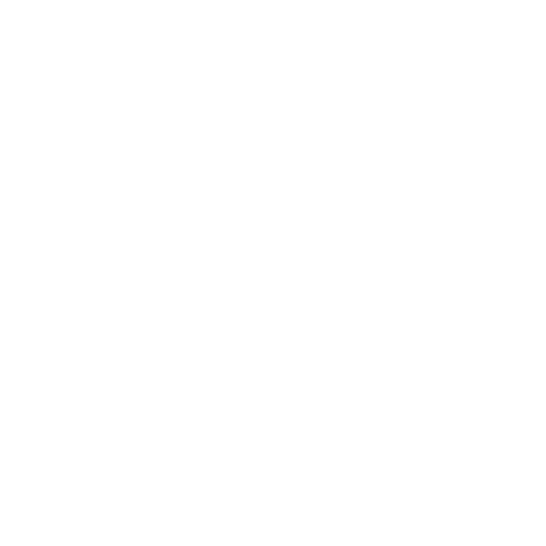 one altus foot logo